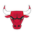 img/icons/bulls.png